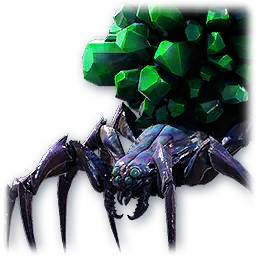 Pet: Spider