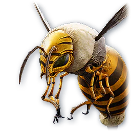Bienen-Abart