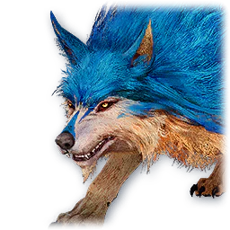 Pet: Zaif
